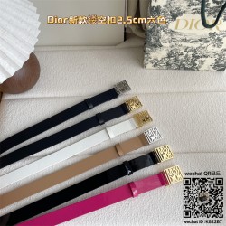 디올 2.5 벨트