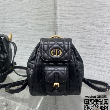 디올 카로 스몰 백팩