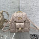 디올 카로 스몰 백팩