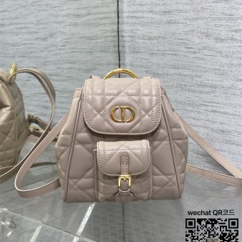 디올 카로 스몰 백팩