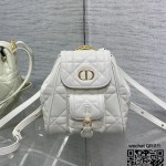 디올 카로 스몰 백팩