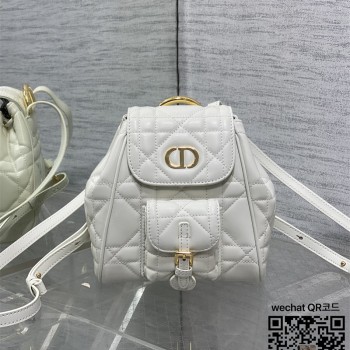 디올 카로 스몰 백팩