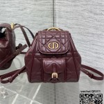 디올 카로 스몰 백팩