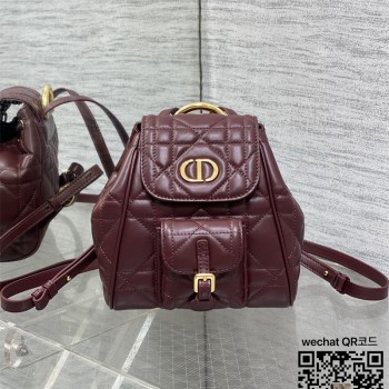 디올 카로 스몰 백팩