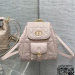 디올 카로 스몰 백팩