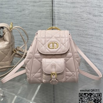 디올 카로 스몰 백팩