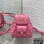 디올 카로 스몰 백팩