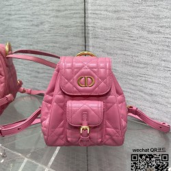 디올 카로 스몰 백팩