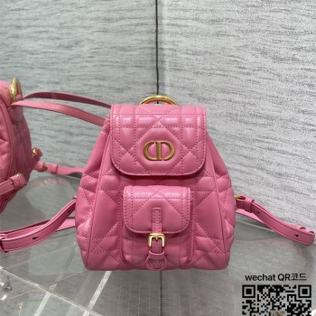 디올 카로 스몰 백팩