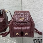 디올 카로 신상 백팩