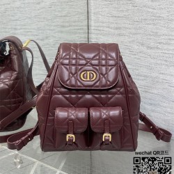 디올 카로 신상 백팩