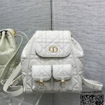 디올 카로 신상 백팩