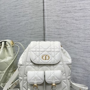 디올 카로 신상 백팩