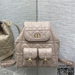 디올 카로 신상 백팩