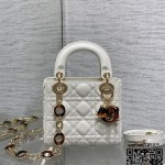 디올 DIOR 레이디백 17CM