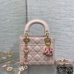 디올 DIOR 레이디백 17CM