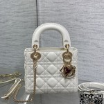 디올 DIOR 레이디백 17CM