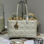 디올 토트백 스몰