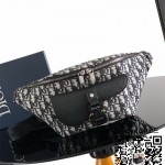 디올 오블리크 범백 벨트백