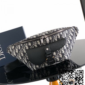 디올 오블리크 범백 벨트백