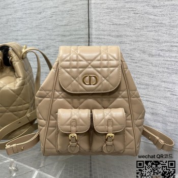 디올 카로 신상 백팩