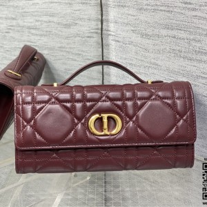 디올 카로 탑핸들백