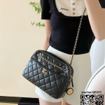 샤넬 신상 카메라백