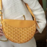 고야드 GOYARD  히론델 백