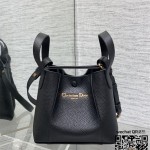 디올 Signature 버킷백