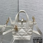 디올 뚜주흐백 Toujours 신상