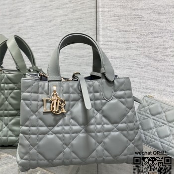 디올 뚜주흐백 Toujours 미디움 버티컬 토트백