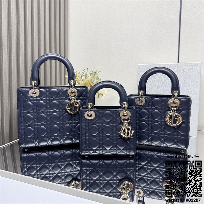 디올 DIOR 레이디백24CM