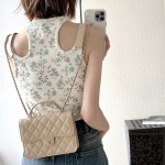 샤넬 신상 탑핸들 백팩