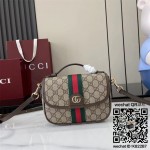구찌 오피디아 스몰 탑 핸들백 836843