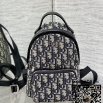 디올 미니 백팩