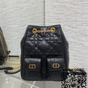 디올 카로 미디움  백팩