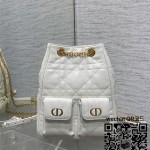 디올 카로 미디움  백팩