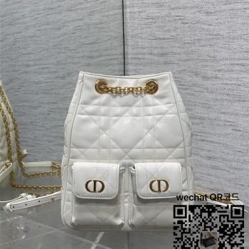 디올 카로 미디움  백팩