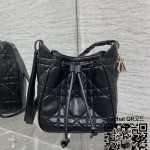 디올 카로 신상 버킷백 스몰