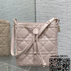디올 카로 신상 버킷백 미디움