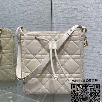 디올 카로 신상 버킷백 미디움