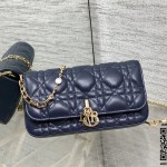 디올 체인 크로스백