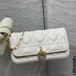 디올 체인 크로스백