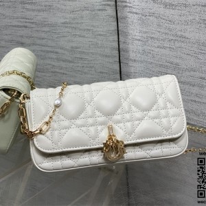 디올 체인 크로스백