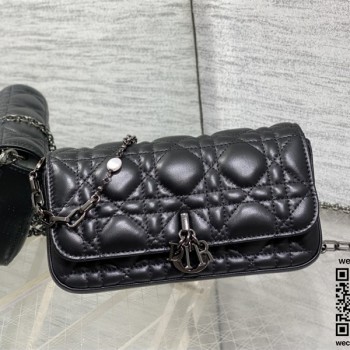 디올 체인 크로스백