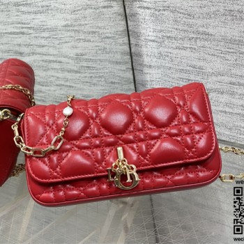 디올 체인 크로스백