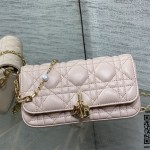 디올 체인 크로스백