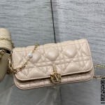 디올 체인 크로스백