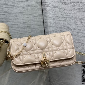 디올 체인 크로스백