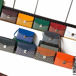 고야드 시프레 핸드&크로스백